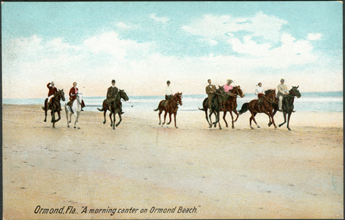 Horses on Ormond Beach